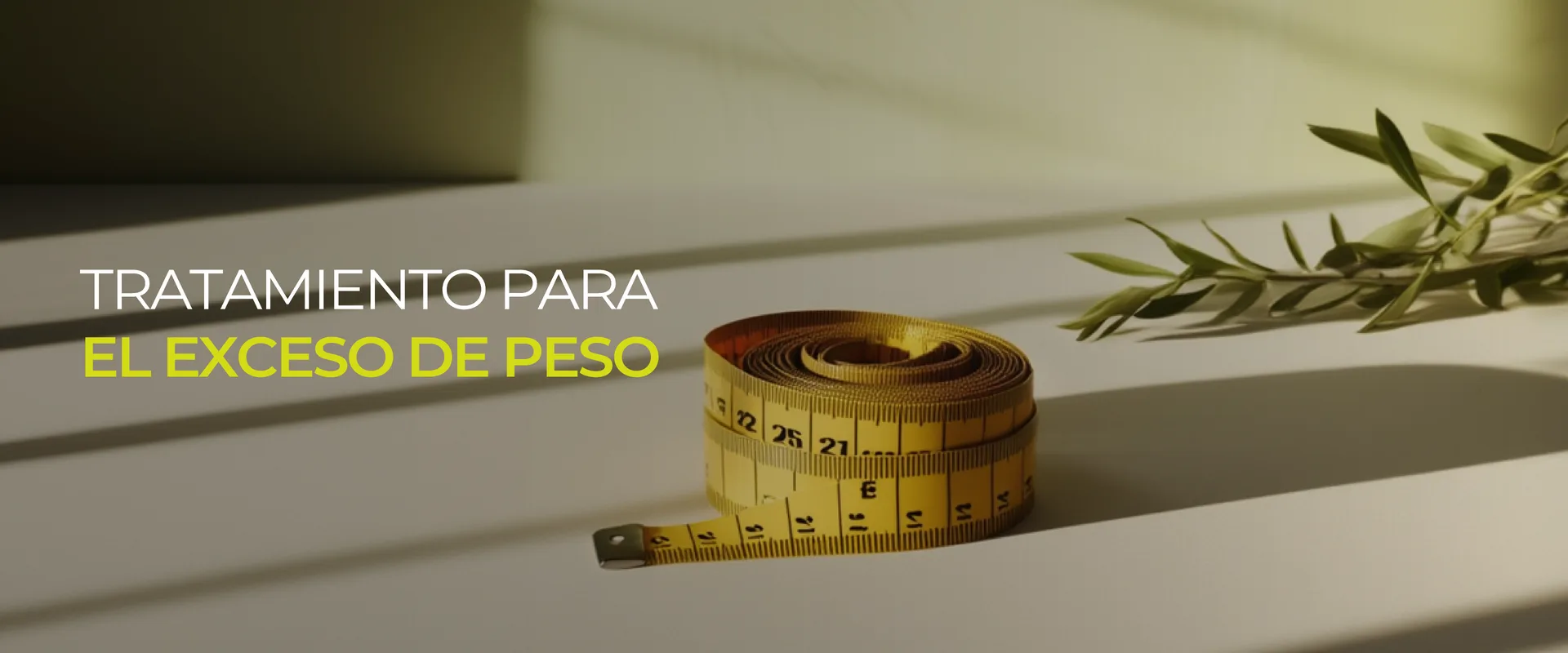 Tratamiento del exceso de peso y obesidad